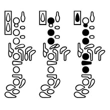 Woodwind Fingering Diagram Font Pack (5 Fonts)